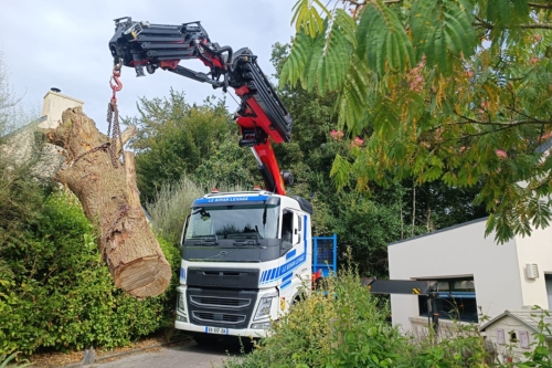 Démontage d'arbre demontage arbre le bihan levage entreprise bretonne